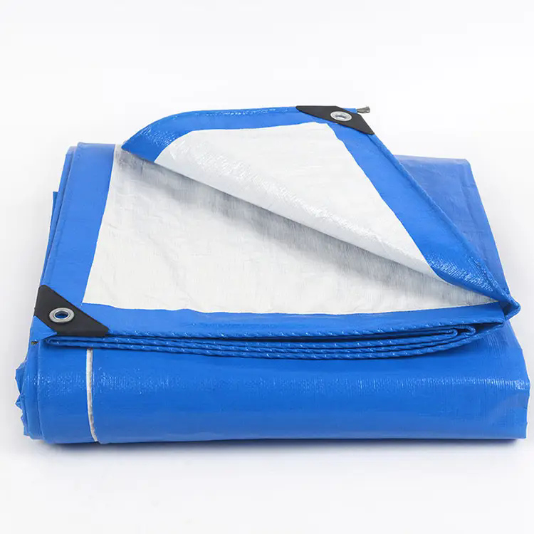 Cos'è il telone in pe? Cos'è il telone in pe?