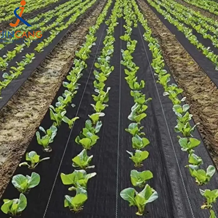 Tappetino durevole di erba